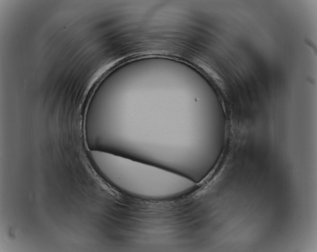 X0000092110933200709121127