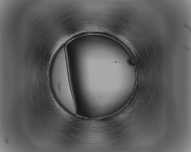 X0000092110935200709121127
