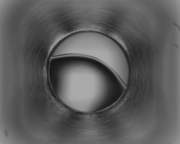 X0000092110936200709121127