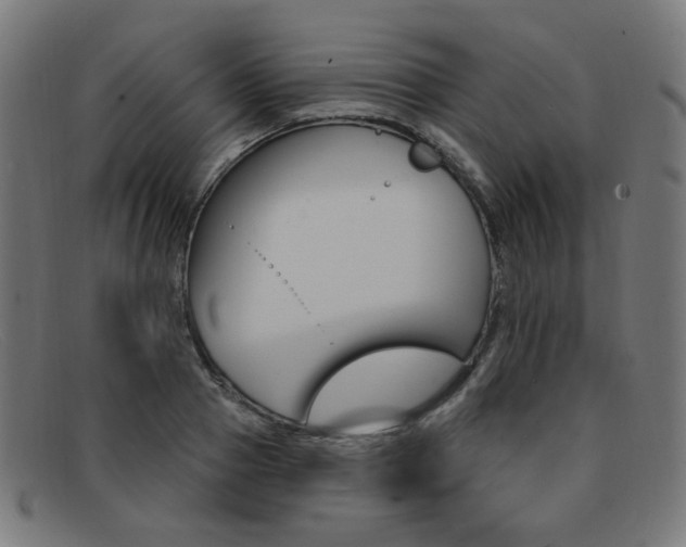 X0000092110937200709121127