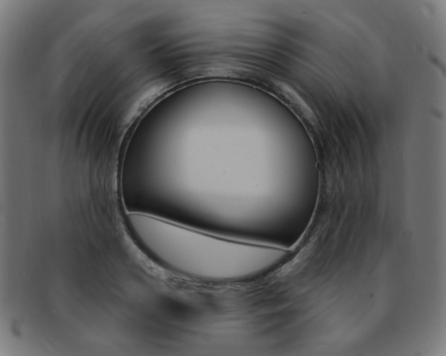 X0000092110938200709121127