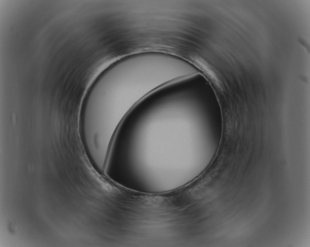 X0000092110940200709121127