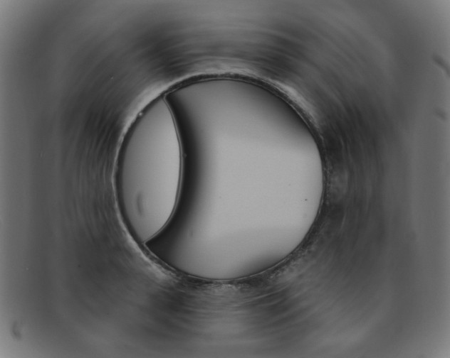 X0000092110943200709121127