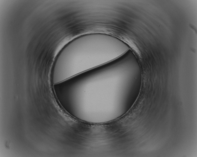 X0000092110944200709121127