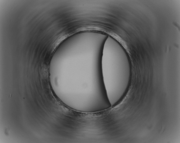 X0000092110945200709121127