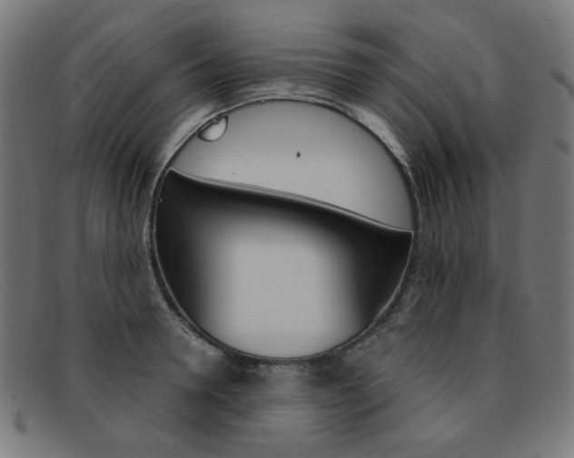 X0000092110946200709121127