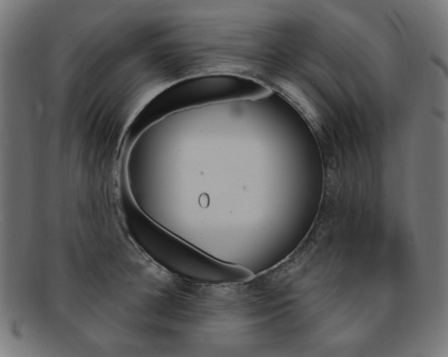 X0000092110948200709121127