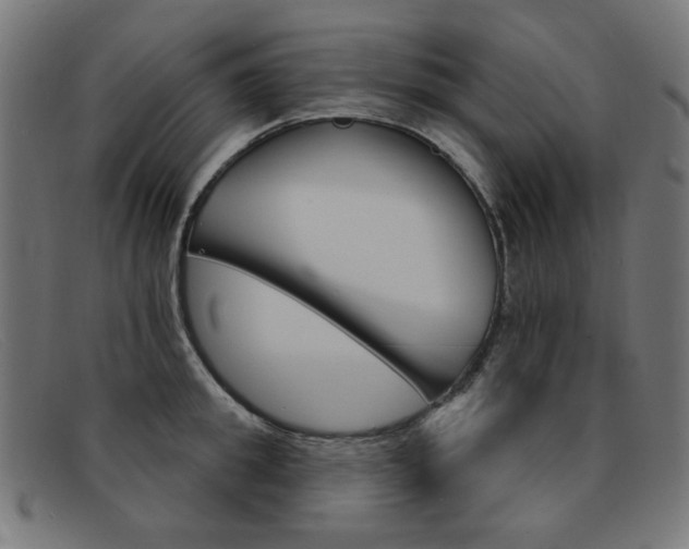 X0000092110949200709121127