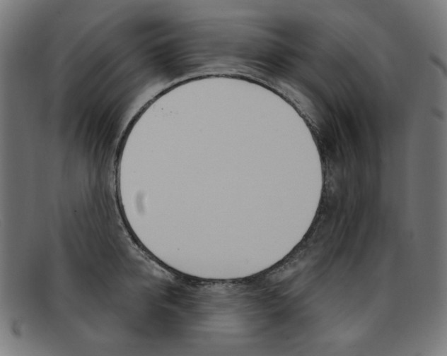 X0000092110950200709121127