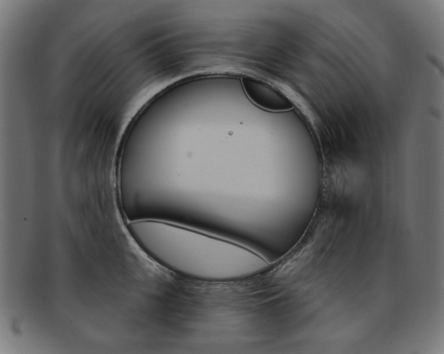 X0000092110951200709121127