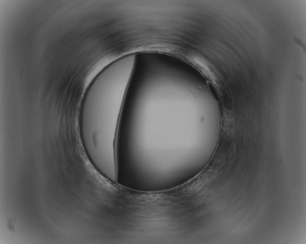 X0000092110952200709121127