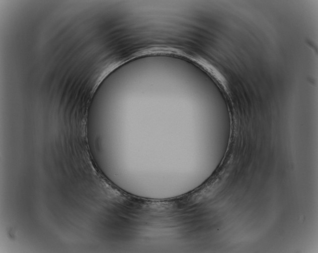 X0000092110953200709121127
