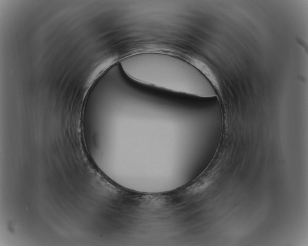 X0000092110954200709121127