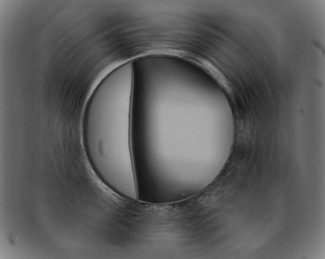 X0000092110955200709121127
