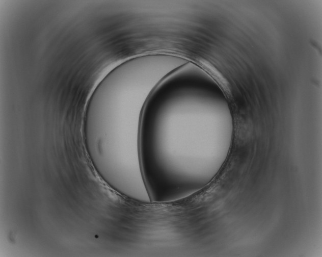 X0000092110956200709121127