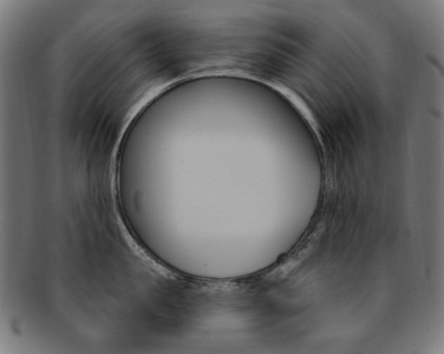 X0000092110957200709121127
