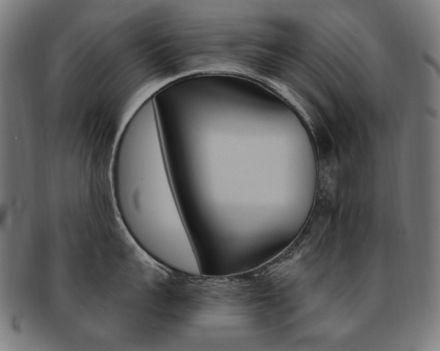 X0000092110959200709121127