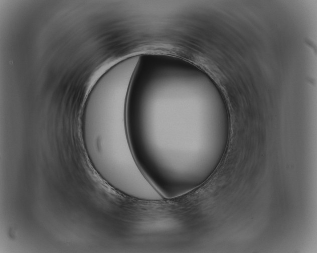 X0000092110960200709121127