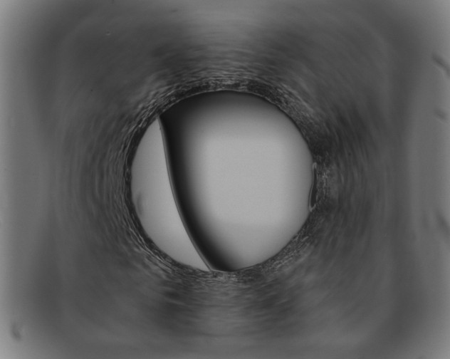 X0000092110961200709121126