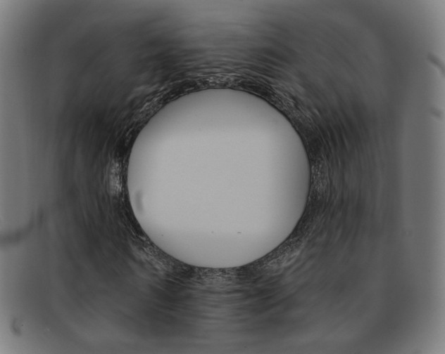 X0000092110962200709121126
