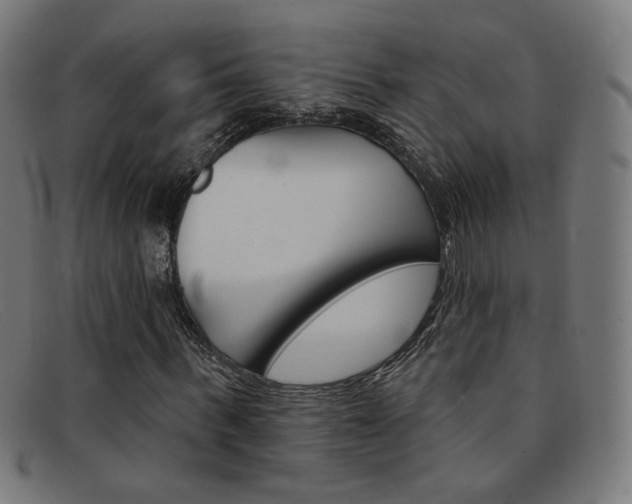 X0000092110963200709121126