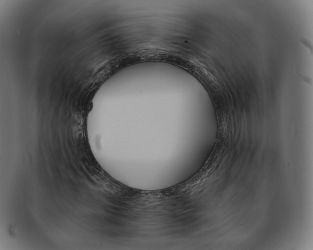 X0000092110964200709121126