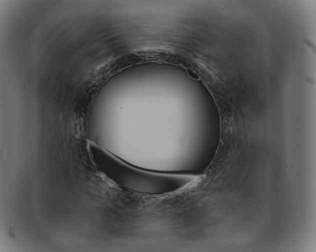 X0000092110965200709121126