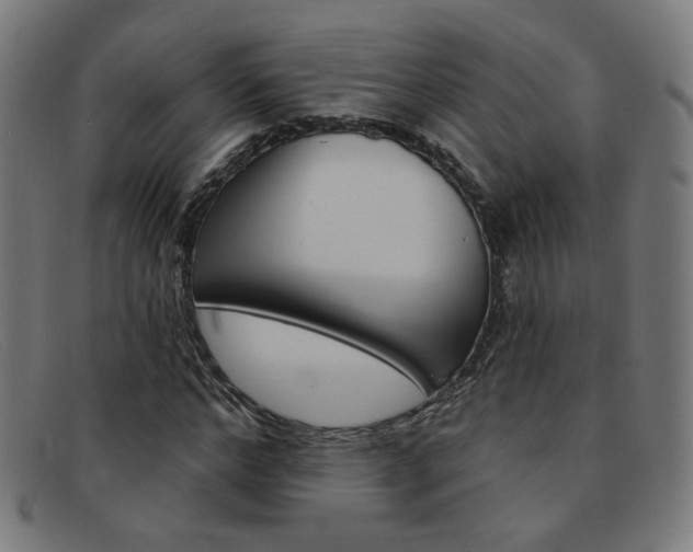 X0000092110968200709121126