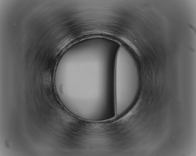 X0000092110969200709121126
