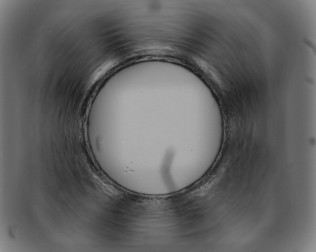 X0000092110970200709121126