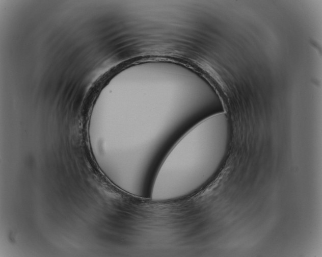 X0000092110971200709121126