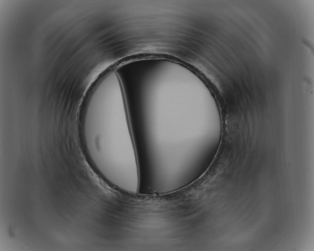 X0000092110972200709121126