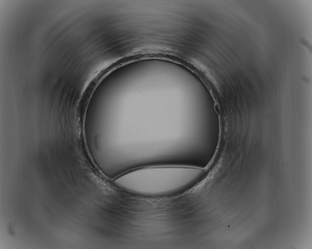 X0000092110973200709121126