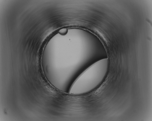 X0000092110975200709121126