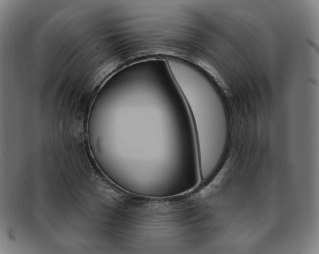 X0000092110977200709121126