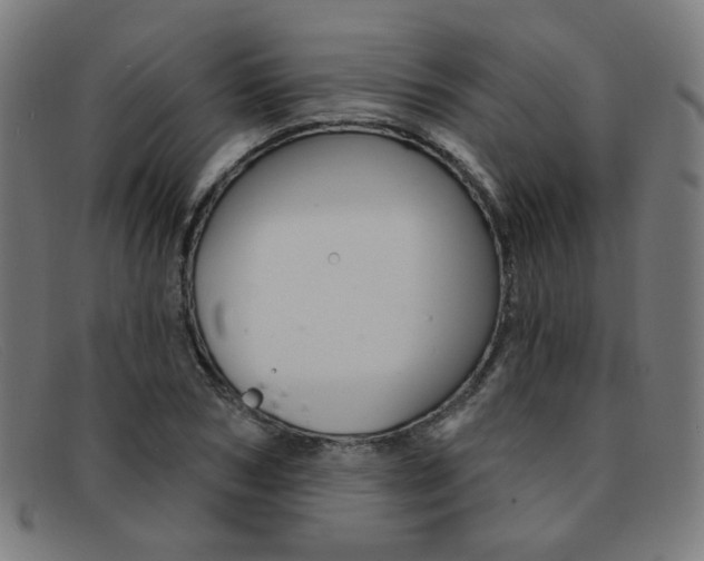 X0000092110978200709121126