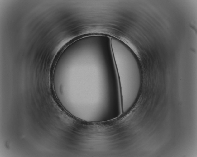 X0000092110980200709121126