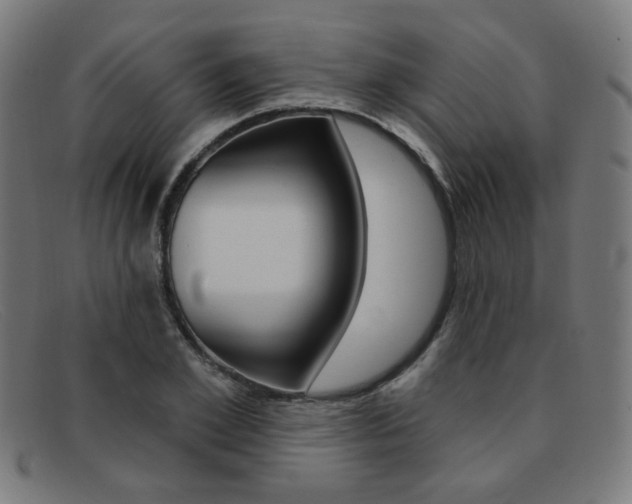 X0000092110981200709121126