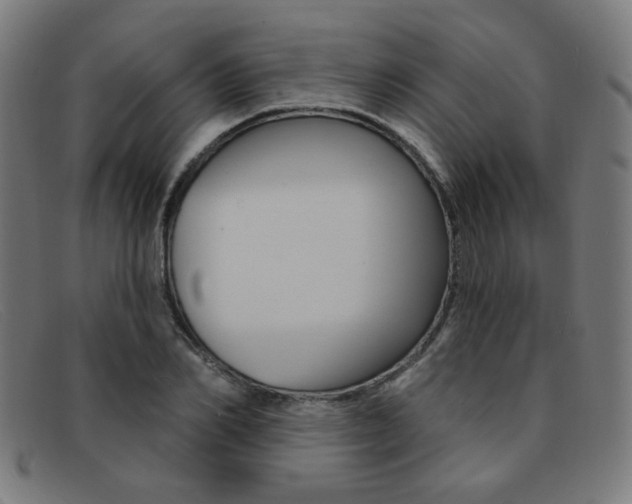 X0000092110982200709121126