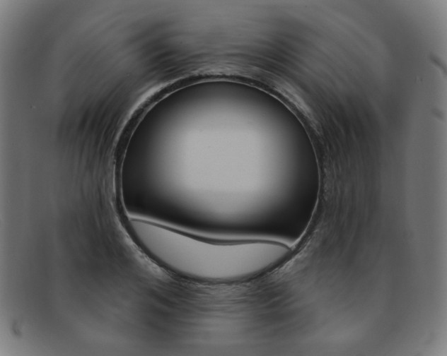 X0000092110984200709121126