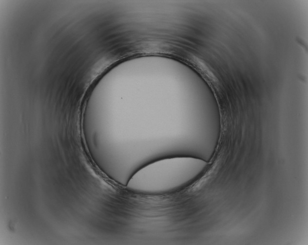 X0000092110986200709121126