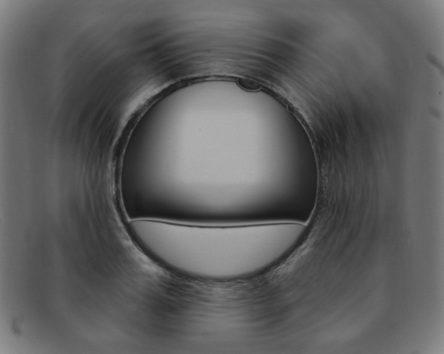 X0000092110987200709121126