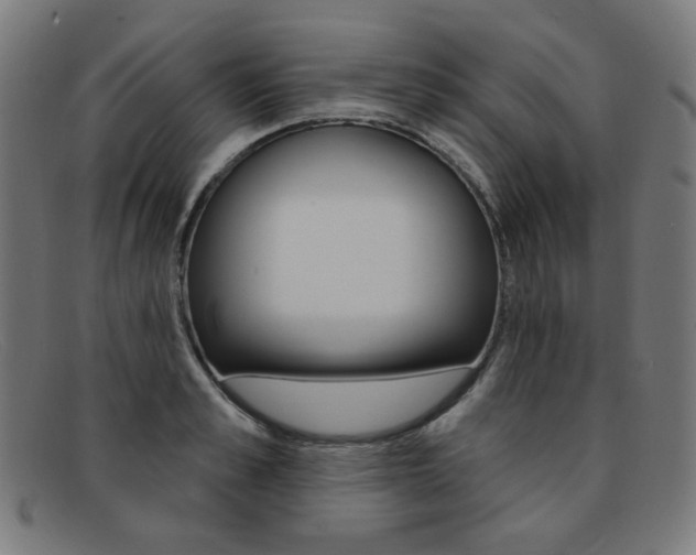 X0000092110989200709121126