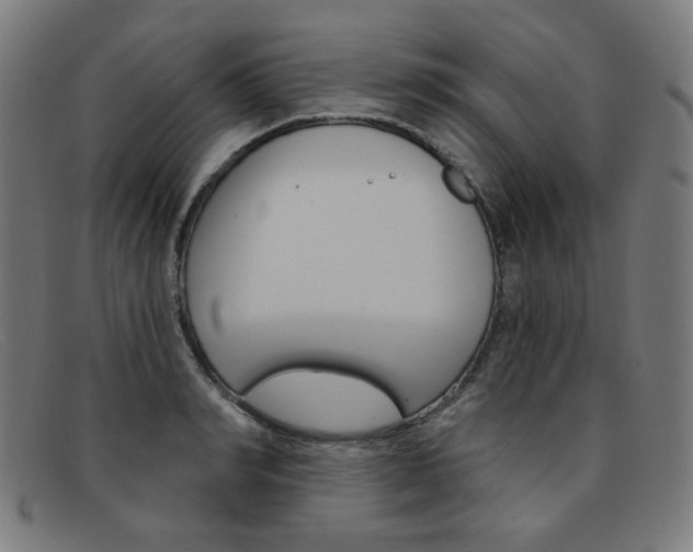 X0000092110990200709121126