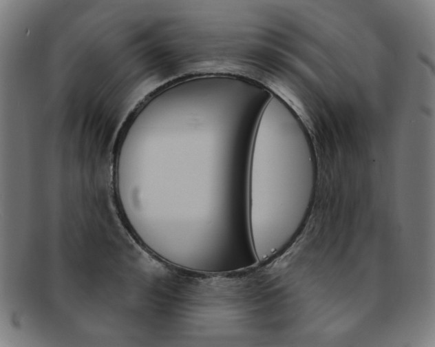 X0000092110992200709121126