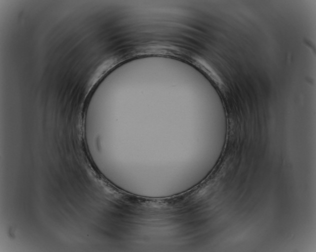X0000092110994200709121126