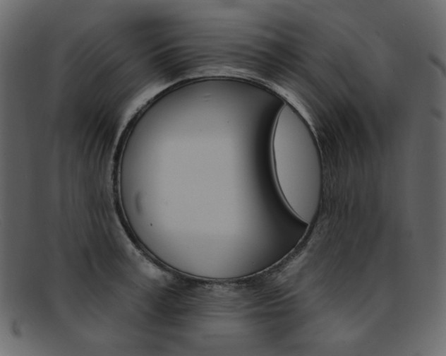 X0000092110995200709121126