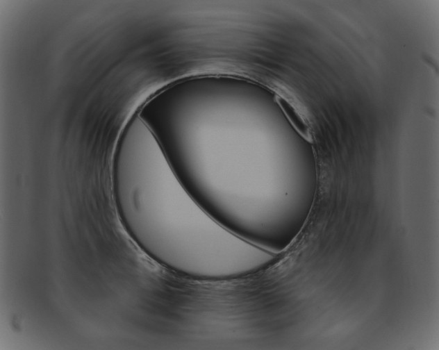 X0000092110996200709121126