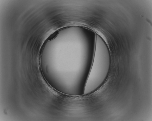 X0000092110997200709121126