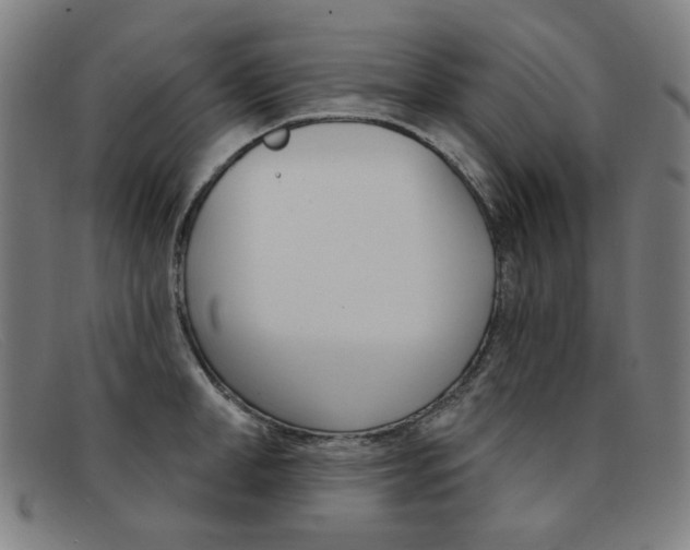X0000092110998200709121126